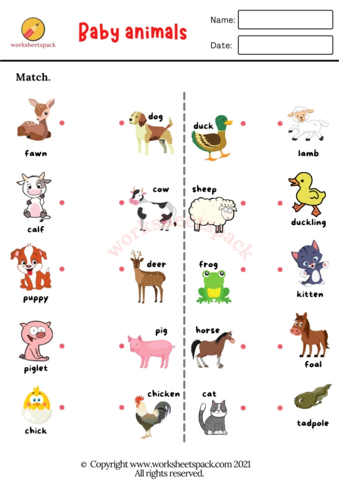 Engaging Baby Animal Match-Up worksheet for Pre-K syllable learning Baby animals waiting to be matched with their adult counterparts in a fun worksheet activity
