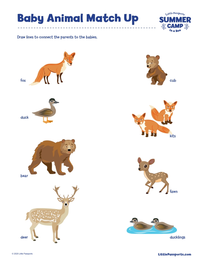Baby Animal Match-Up Worksheet for Pre-K students focusing on syllable skills Cute baby animals waiting to be matched with their adult counterparts in a fun worksheet