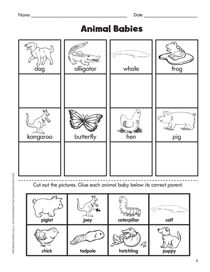 Baby Animal Match-Up worksheet for Pre-K students focusing on syllable skills Cute baby animals waiting to be matched with their mothers in a fun worksheet