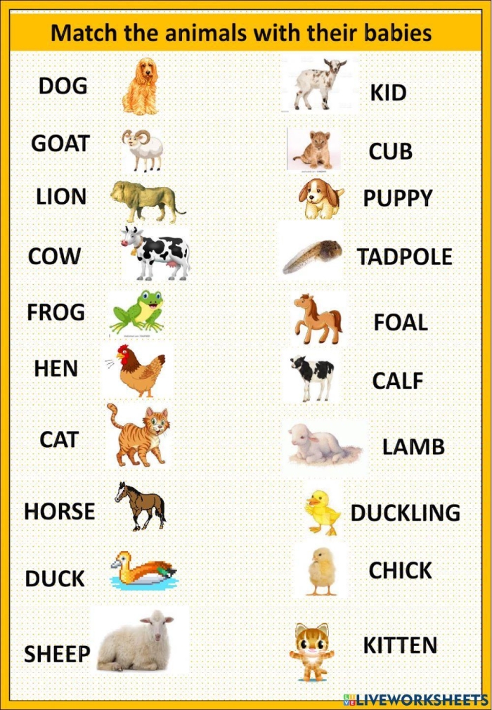 Interactive learning activity for Pre-K students to improve sorting and categorizing skills Baby Animal Match-Up worksheet featuring various baby animals and their adult counterparts
