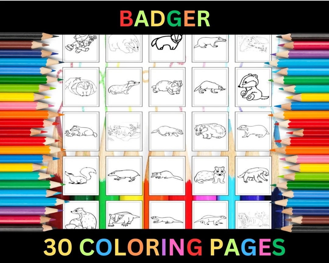 Handwriting worksheet for First Grade Badger State worksheet for First Grade