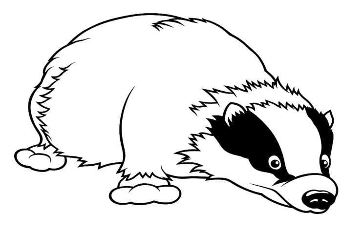 Color and learn with the Wisconsin Badger State worksheet for young learners 21 First Grade Badger State worksheet featuring Wisconsin symbols to color and trace