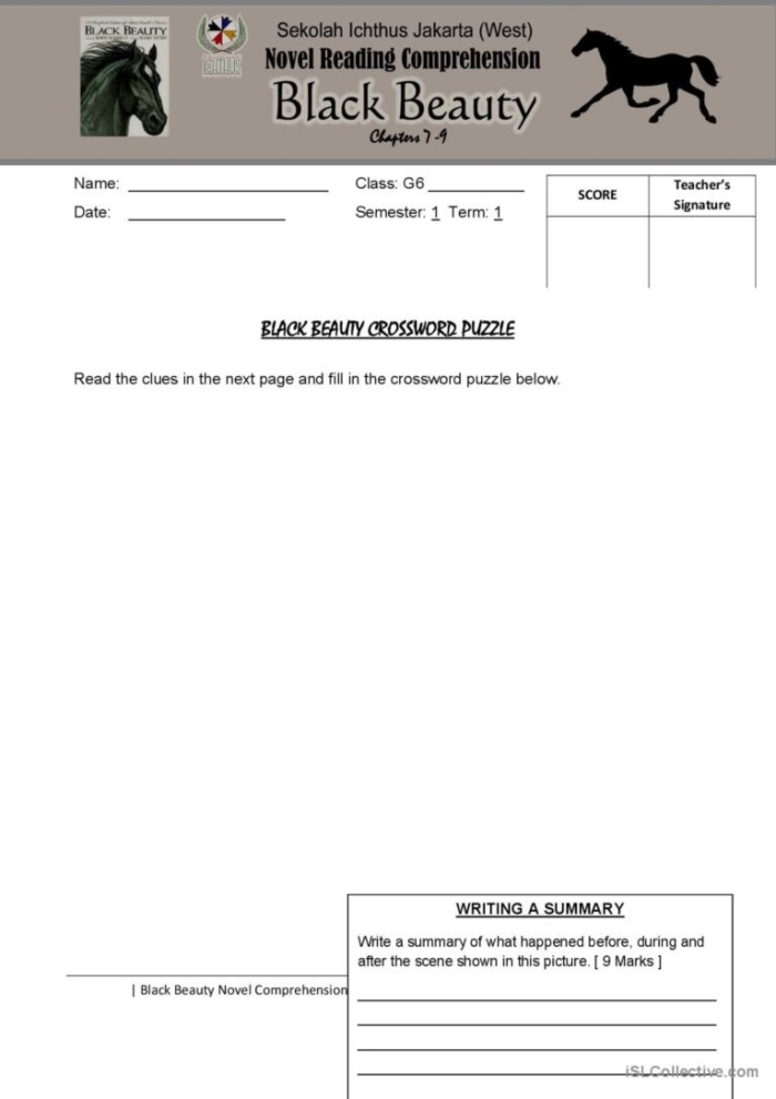 Black Beauty fractions worksheet for reluctant fifth grade readers, image 3 Fifth grade Reading Comprehension worksheet on Black Beauty with a focus on fractions