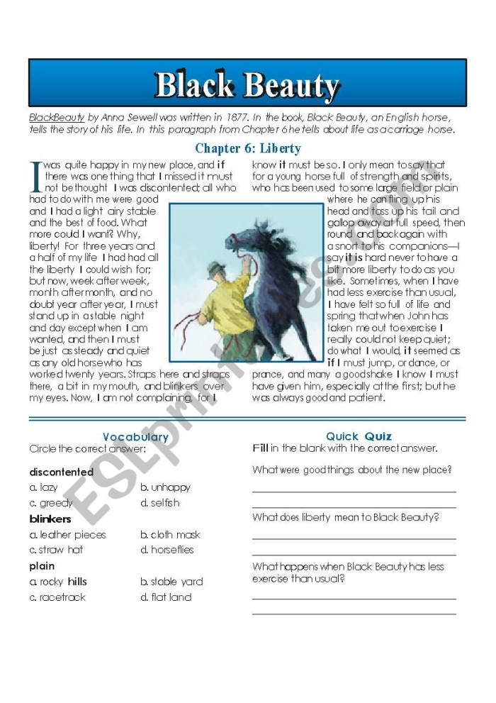 Black Beauty reading comprehension and fractions worksheet page sixteen for fifth graders Fifth grade worksheet for reading comprehension based on Black Beauty with fraction exercises