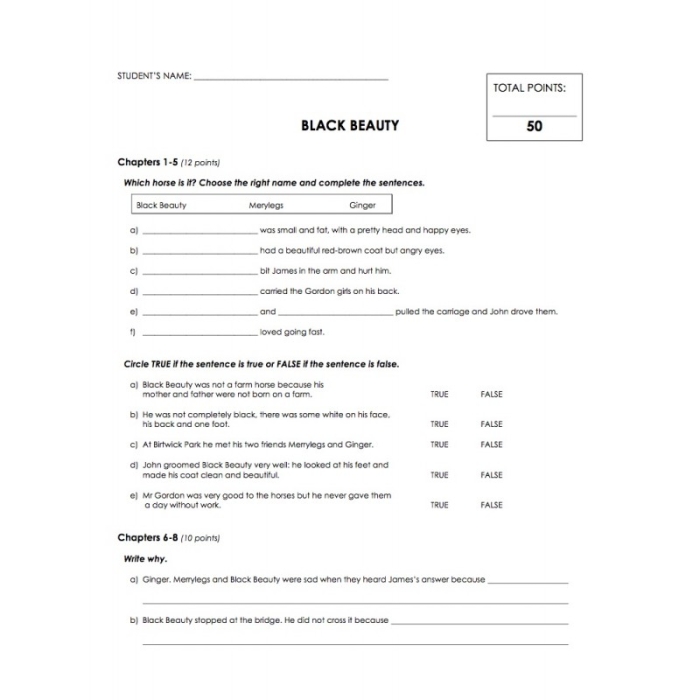 Black Beauty reading comprehension worksheet for fifth graders with fraction activities, image 12 Fifth grade worksheet page showing a reading passage from Black Beauty focused on comprehension and fractions