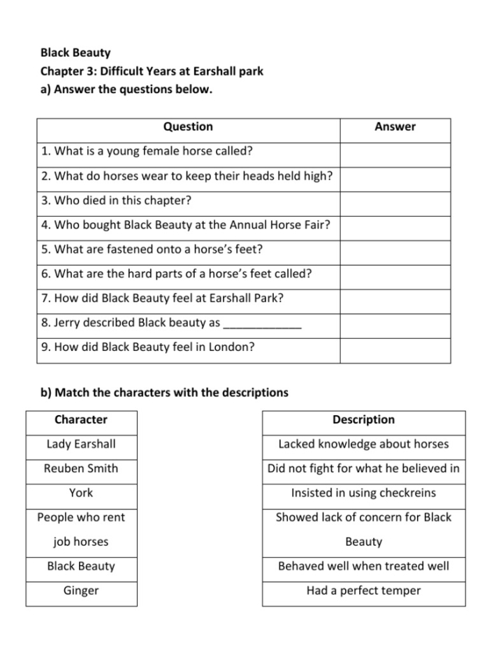 Black Beauty reading comprehension and fractions activity for fifth graders, image 13 Fifth grade worksheet on reading comprehension with a passage from Black Beauty and fraction exercises
