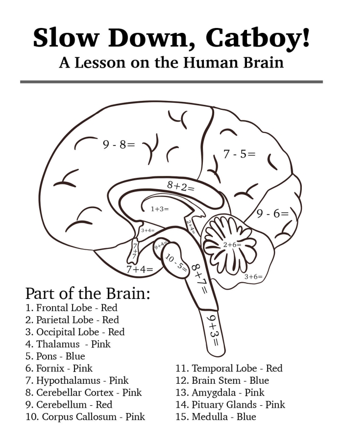 Fourth Grade geometry worksheet showing basic brain functions for kids