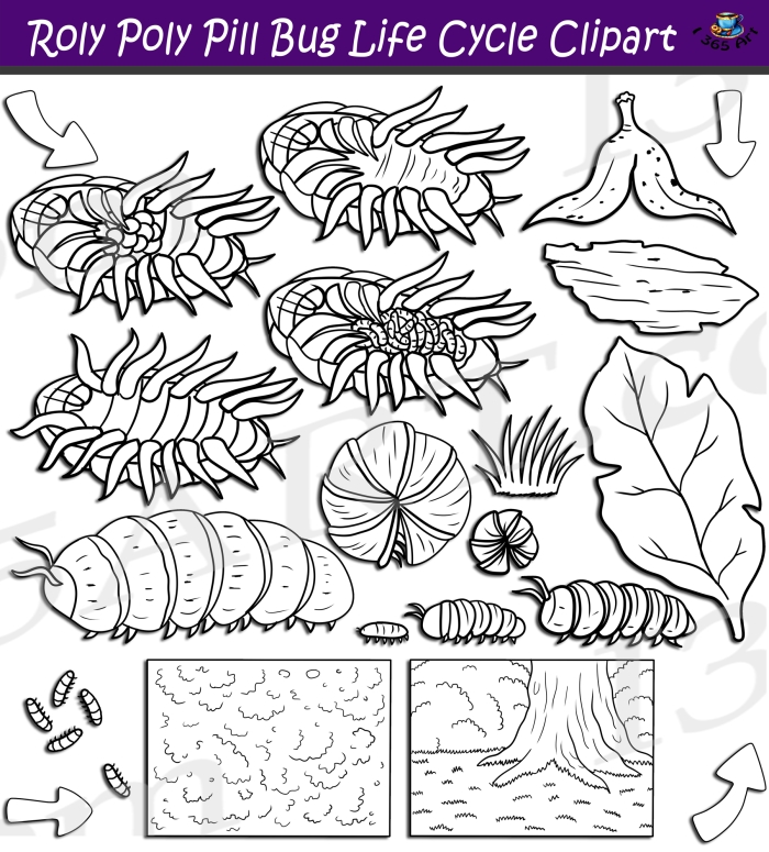 Place Value worksheet for Pre-K Brainzy Coloring Bookmarks: Roly and Tutu worksheet for Pre-K