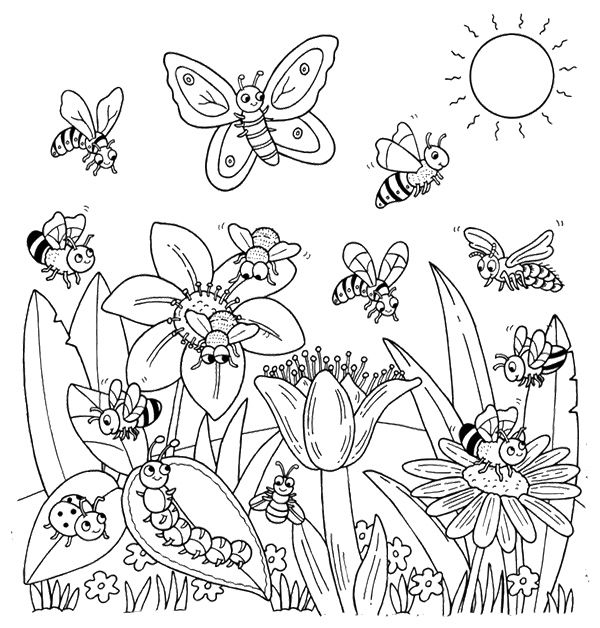 Fun Printable Bug Coloring Worksheets for Pre-K Reading Fun