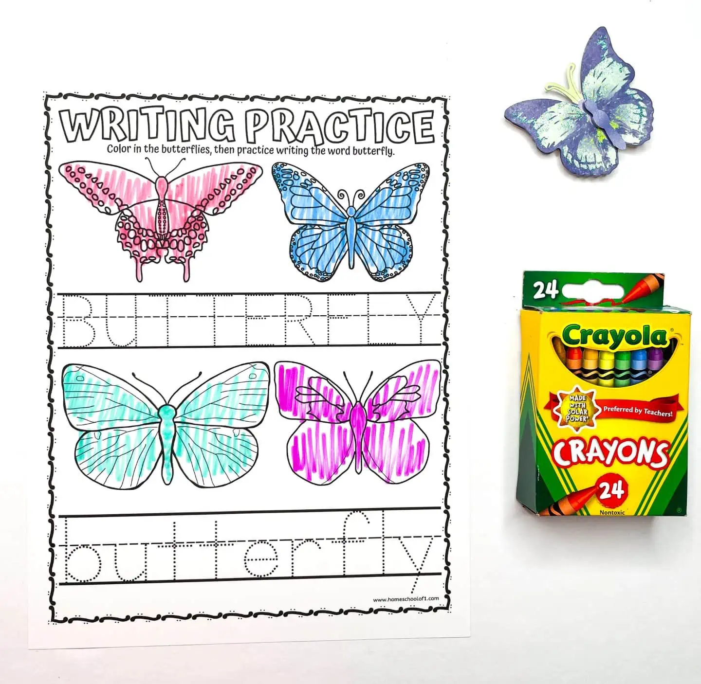 Reading worksheet for Third Grade The Butterfly That Stamped worksheet for Third Grade