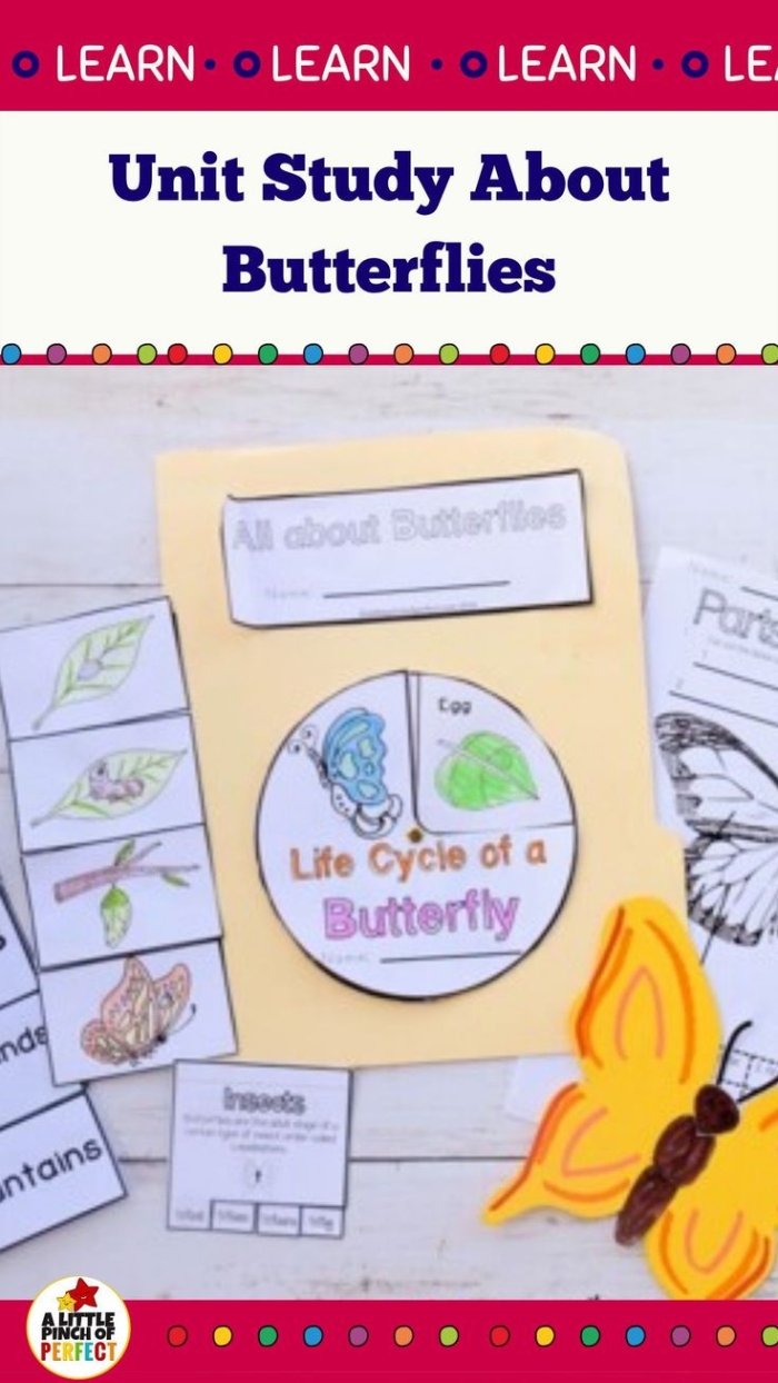 All About Butterflies worksheet image number 20 Butterfly worksheet for first graders focusing on subtraction and sentence completion