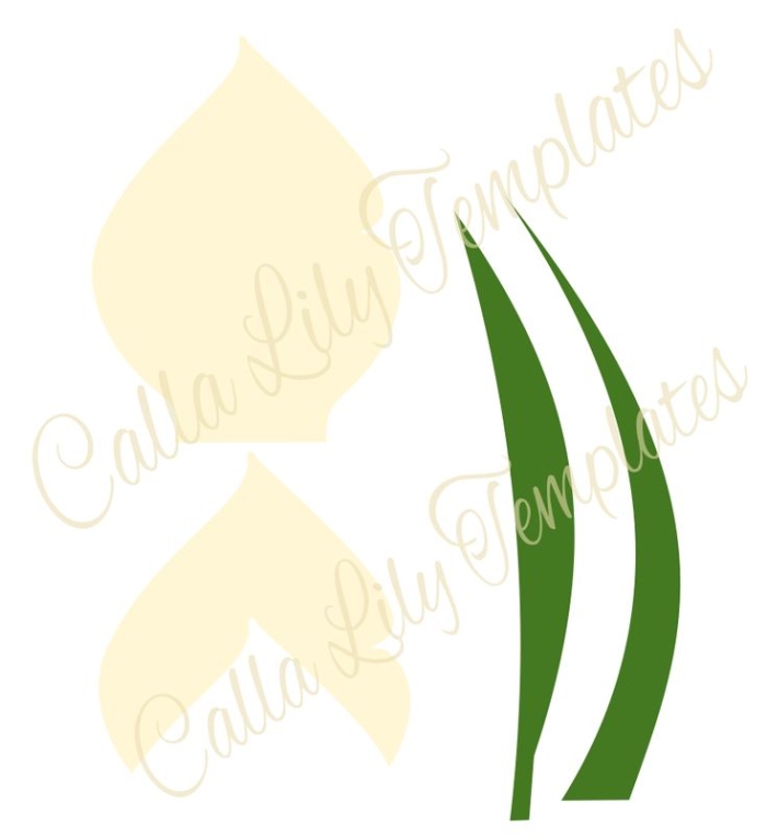First grade students learn about calla lily flowers with a labeled diagram to color during spring reading activities