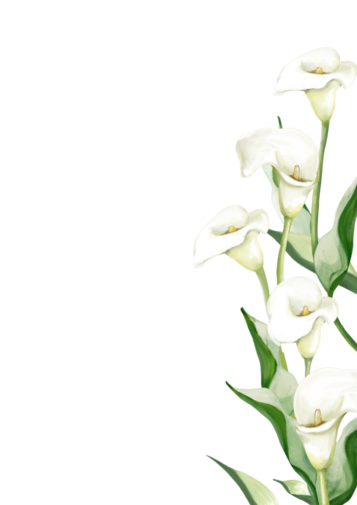 First grade students learn about calla lily flowers with a labeled diagram to explore and color during spring