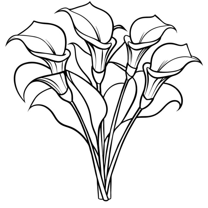 ALT: First grade diagram of a calla lily flower with labeled parts for students to identify and color