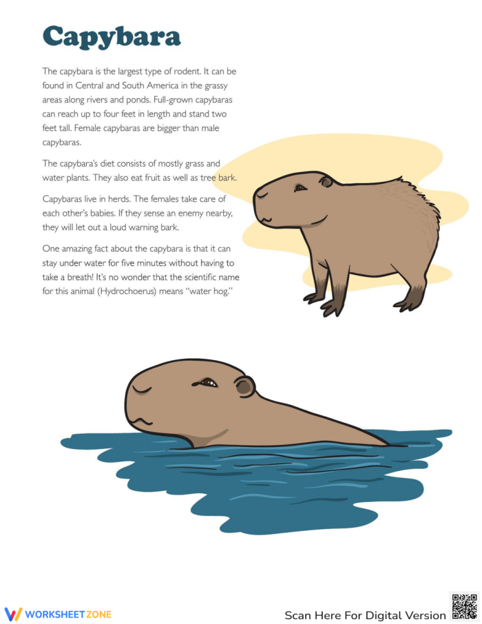 Cute capybara surrounded by nature, showcasing its habitat and behavior for a reading worksheet.