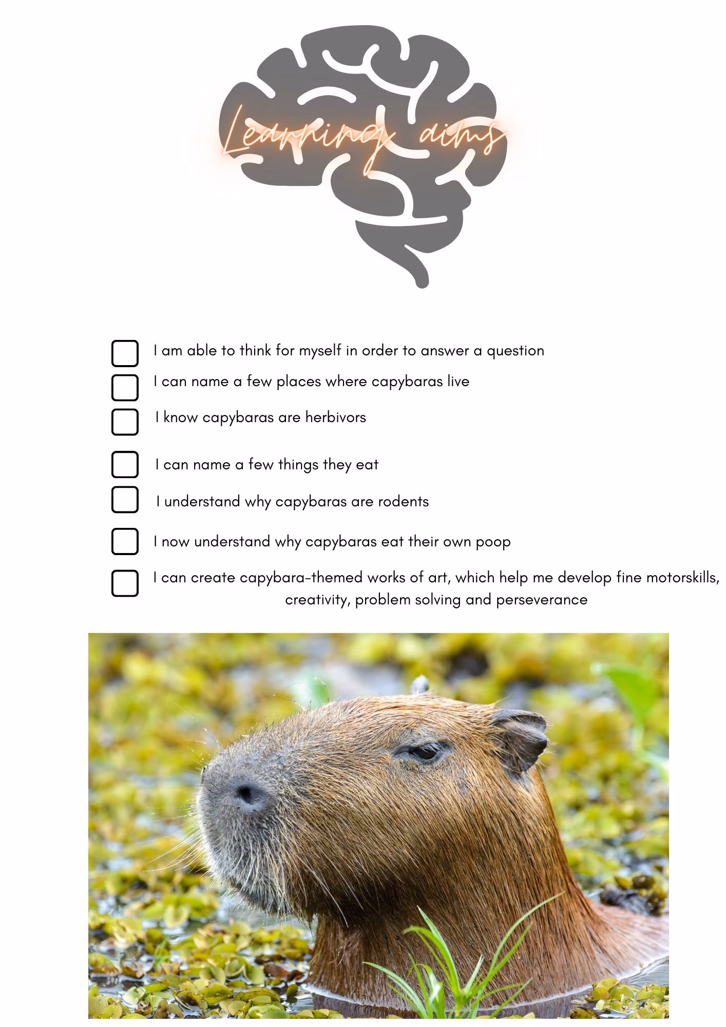 Capybara facts worksheet for second graders featuring reading activities
