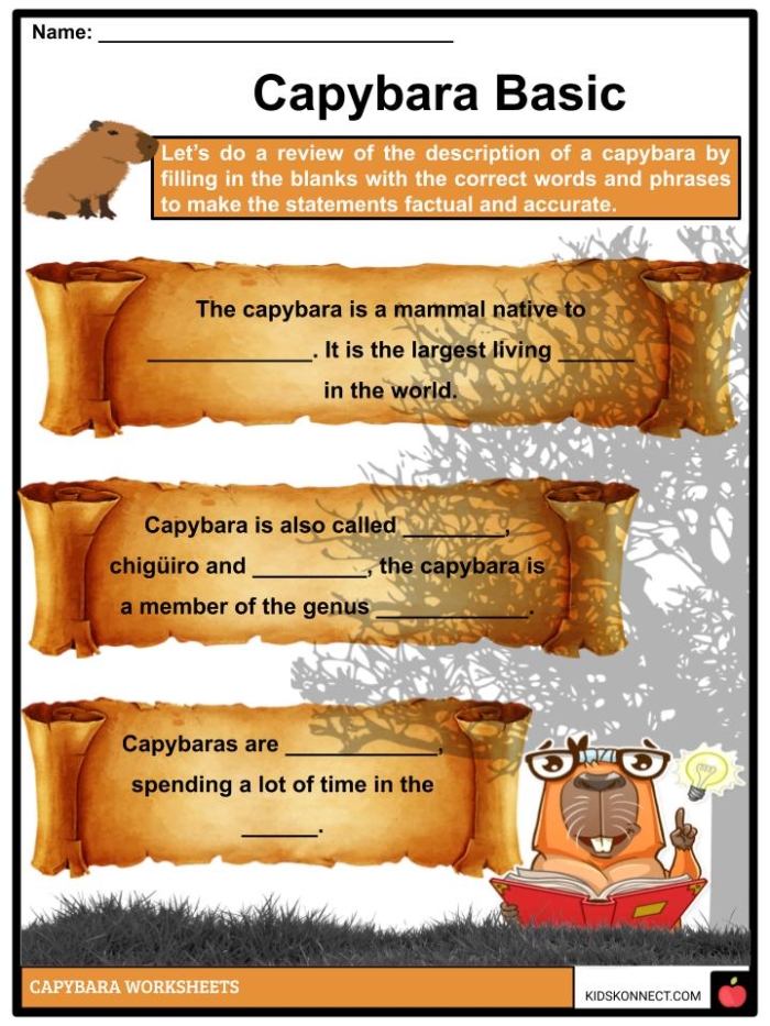 Colorful worksheet featuring fun facts about capybaras for second graders