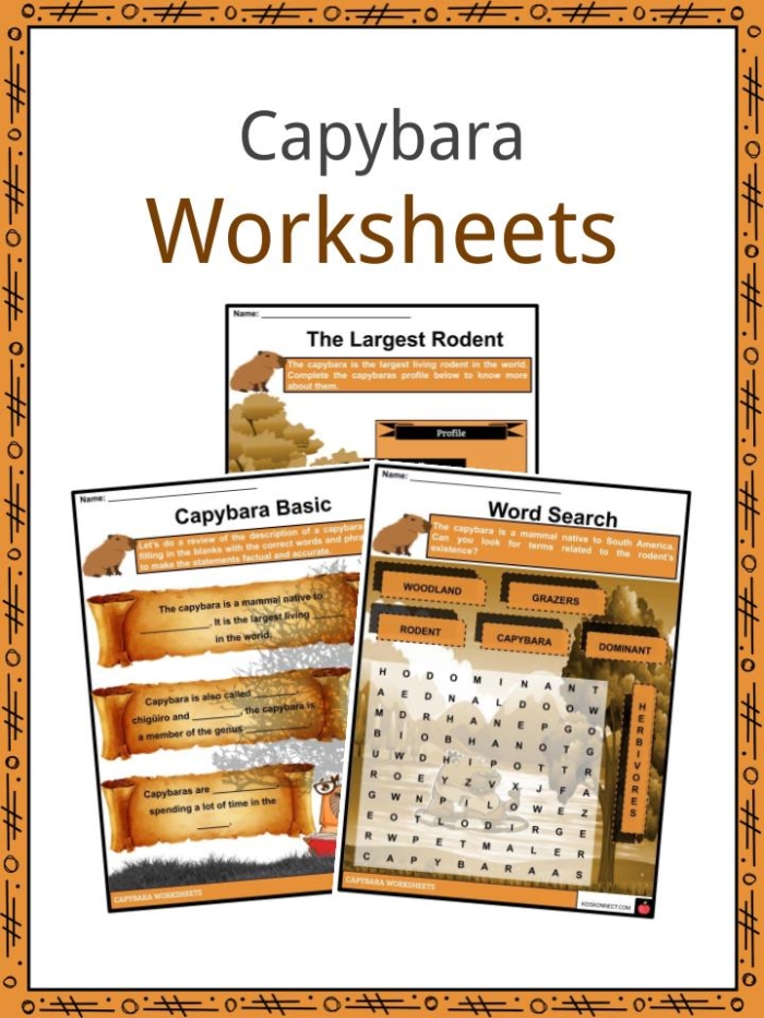 Colorful worksheet featuring fun facts about capybaras for second graders