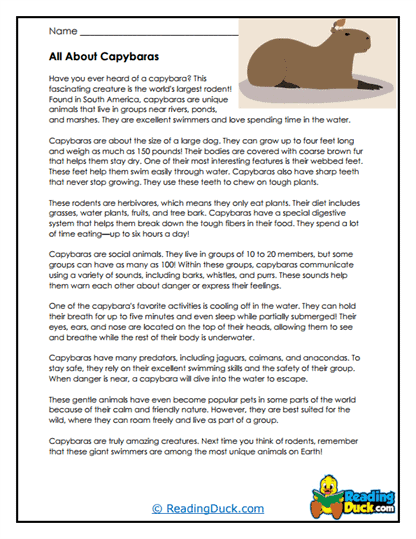 Capybara worksheet for second graders with fun facts about their habitat and lifestyle