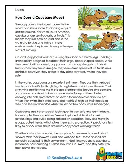 capybara worksheet featuring fascinating facts for second graders