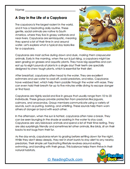 Colorful worksheet featuring interesting facts about capybaras for second graders