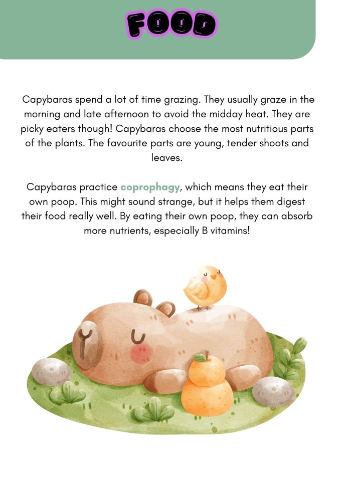 Capybara worksheet for second graders with fun facts and reading activities