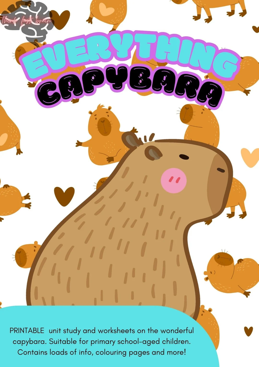 Capybara worksheet featuring fascinating facts for second graders