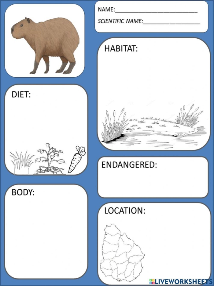 Capybara facts worksheet for second graders, featuring engaging reading material about these fascinating animals