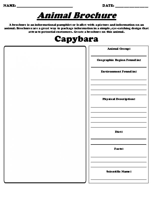 A colorful worksheet featuring interesting facts about capybaras for second graders