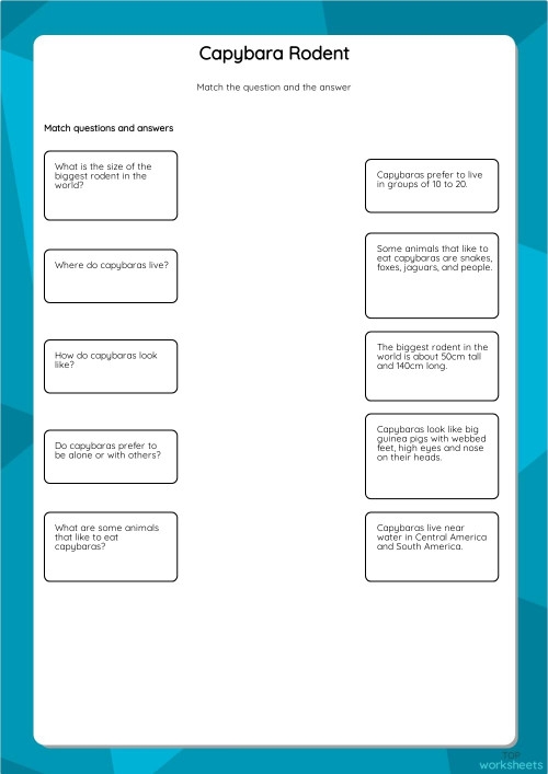 Capybara worksheet for second graders featuring interesting facts about these fascinating animals