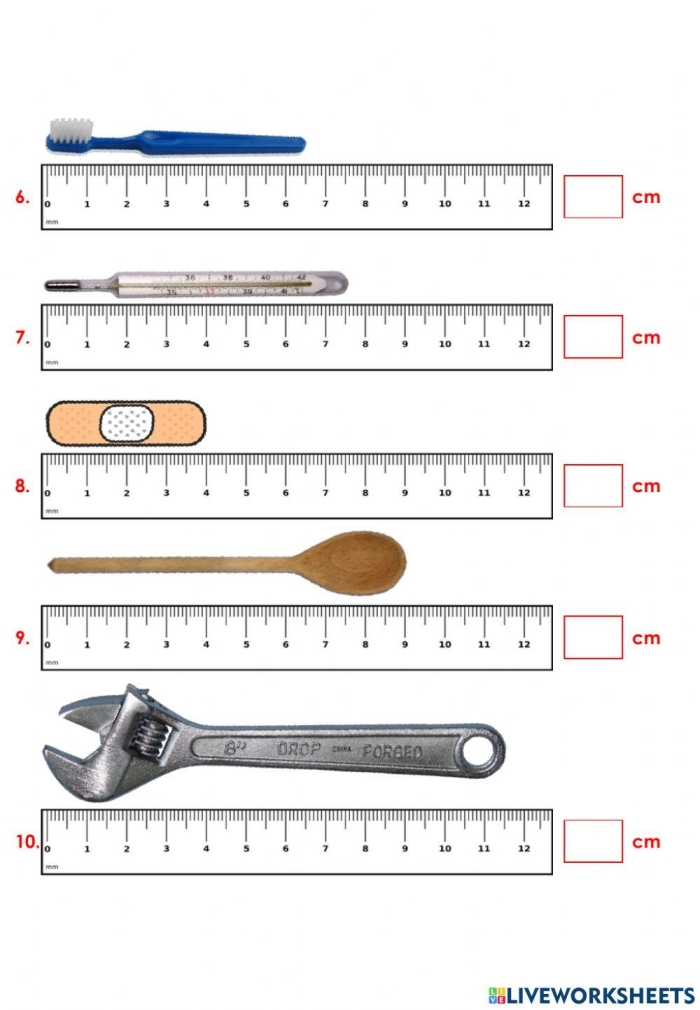 Colorful first grade measuring length in centimeters worksheet for Civics and Government lesson First grade worksheet practicing measuring length in centimeters with colorful objects