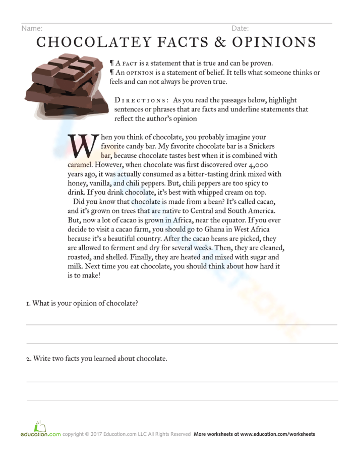 Fourth grade worksheet on chocolate facts and opinions for grammar practice