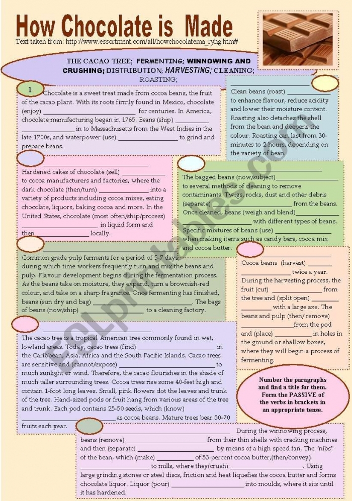 Step-by-step guide to how chocolate is made for second graders, worksheet number 8 Second Grade English Language Arts worksheet illustrating the steps of chocolate making