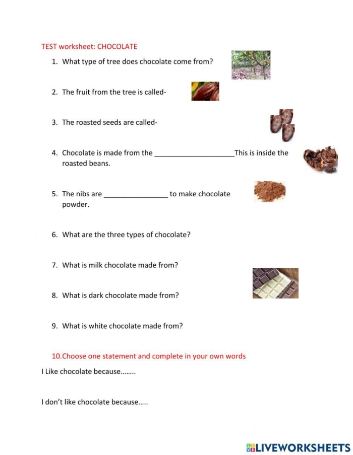 How Chocolate is Made educational activity for storytelling and sequencing skills Second grade worksheet illustrating the steps of making chocolate in order