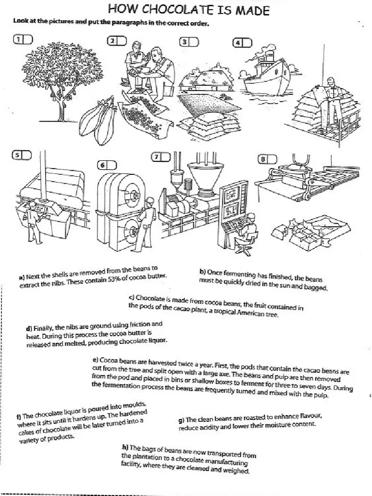 Learn sequencing and storytelling with a chocolate-making activity for young learners Second grade English Language Arts worksheet illustrating the steps of making chocolate