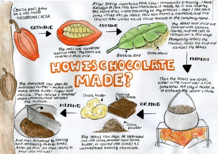 How Chocolate is Made sequencing activity for young learners, image 16 Second grade worksheet illustrating the step-by-step process of making chocolate