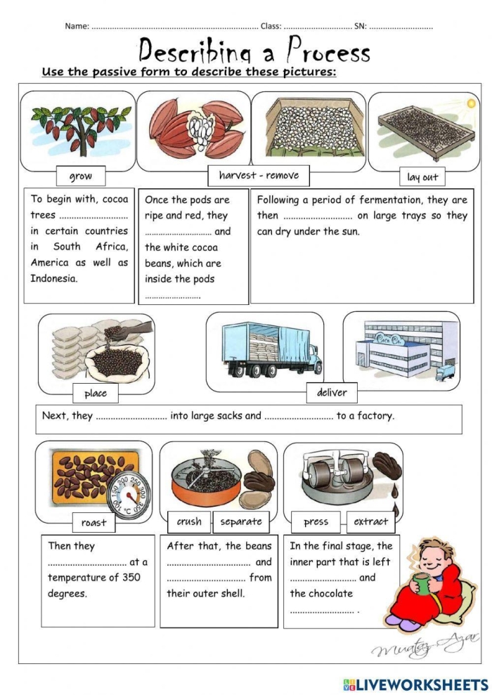 Explore chocolate making with this engaging English Language Arts worksheet for second graders Second grade worksheet illustrating the steps involved in making chocolate