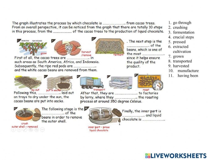 Sequence and storytelling practice with a chocolate-making worksheet for young learners Second grade English worksheet about the process of making chocolate with pictures