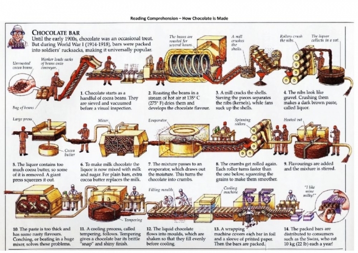 How Chocolate is Made sequencing activity for young learners image 22 Second Grade English Language Arts worksheet illustrating the chocolate-making process