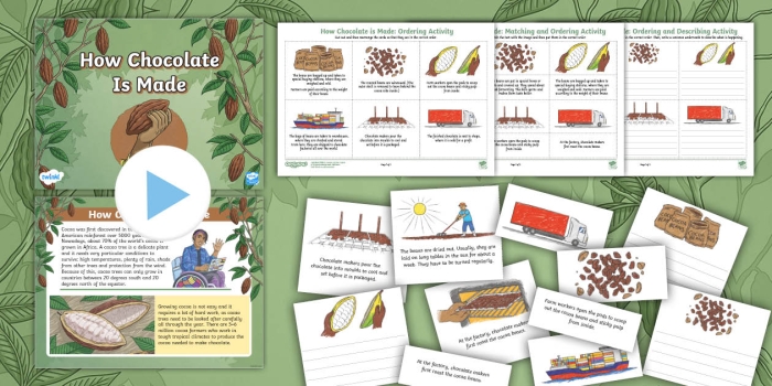How Chocolate is Made sequencing and storytelling activity for young learners, image 14 Second Grade English Language Arts worksheet illustrating the process of making chocolate