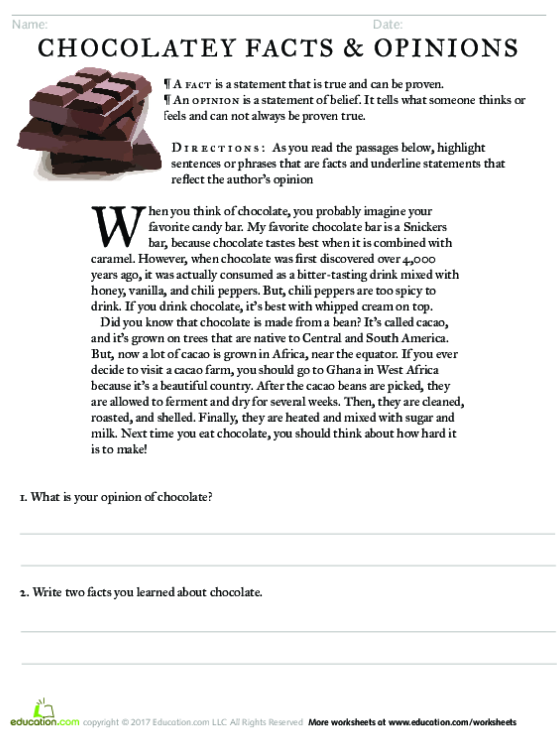 Fourth grade worksheet on chocolate facts and opinions for grammar practice