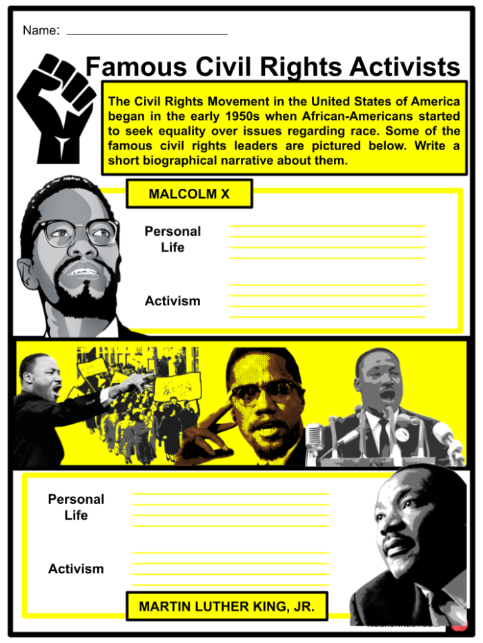 Civil Rights Movement worksheet for fifth graders focusing on later issues in the movement