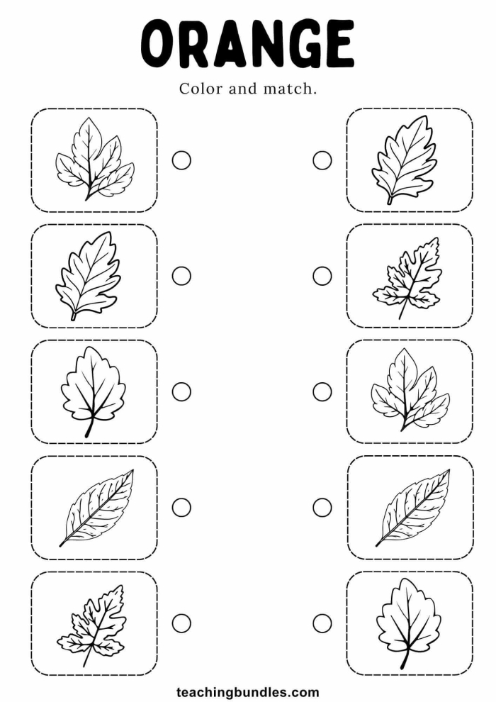 Creative worksheet activity for Pre-K kids focused on learning the color orange and fruits A young child coloring an orange fruit on a worksheet about the color orange