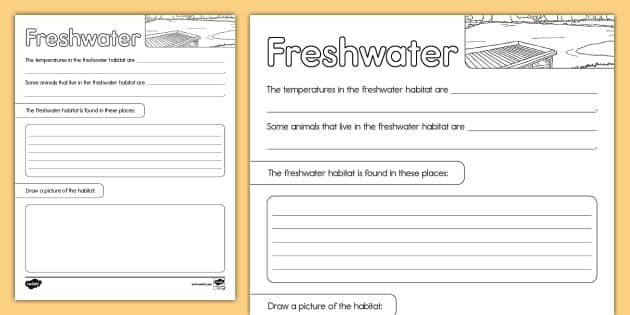 Algebra worksheet for Second Grade Coloring page featuring a lake habitat with frogs, turtles, ducks, and dragonflies for kids. Freshwater Habitat Worksheet for Second Grade Algebra Learning.