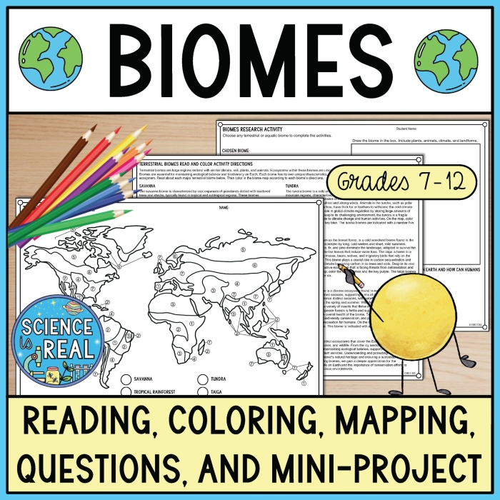 Geometry worksheet for Fourth Grade Colorful illustration of various biomes including deserts, forests, and tundras for a fourth-grade worksheet. Engaging worksheet on biomes for 4th graders exploring Earth's diverse ecosystems.