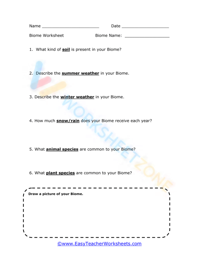 Geometry worksheet for Fourth Grade Colorful illustration of various biomes, highlighting their unique characteristics for a fourth-grade worksheet. Educational resource titled "What Is a Biome? Worksheet" for life science studies.