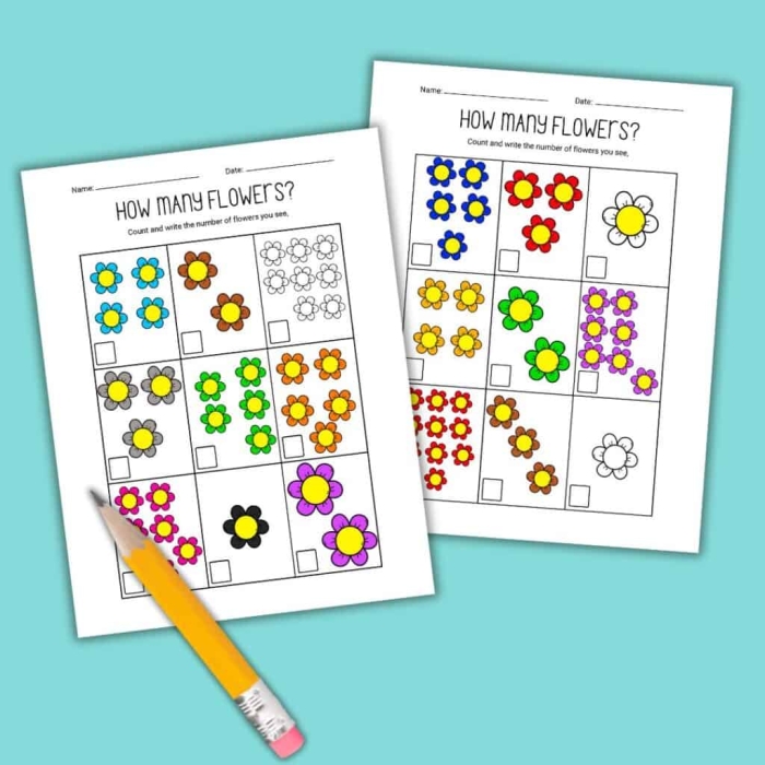 Fun flower-themed activity sheet for learning "How Many Are There?" in Pre-K Colorful flower counting worksheet for preschoolers focusing on subtraction skills