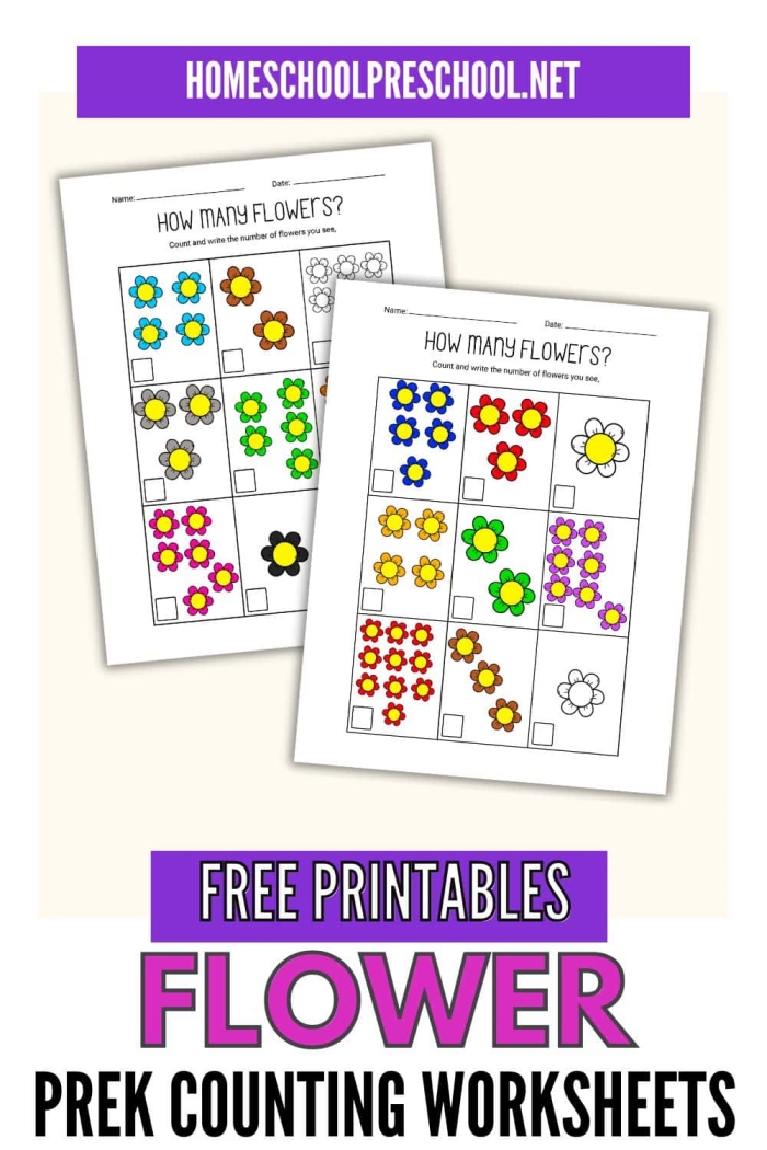 Engaging "How Many Are There?" flowers worksheet for Pre-K learners. Colorful flower-themed counting worksheet for preschoolers focusing on subtraction skills.