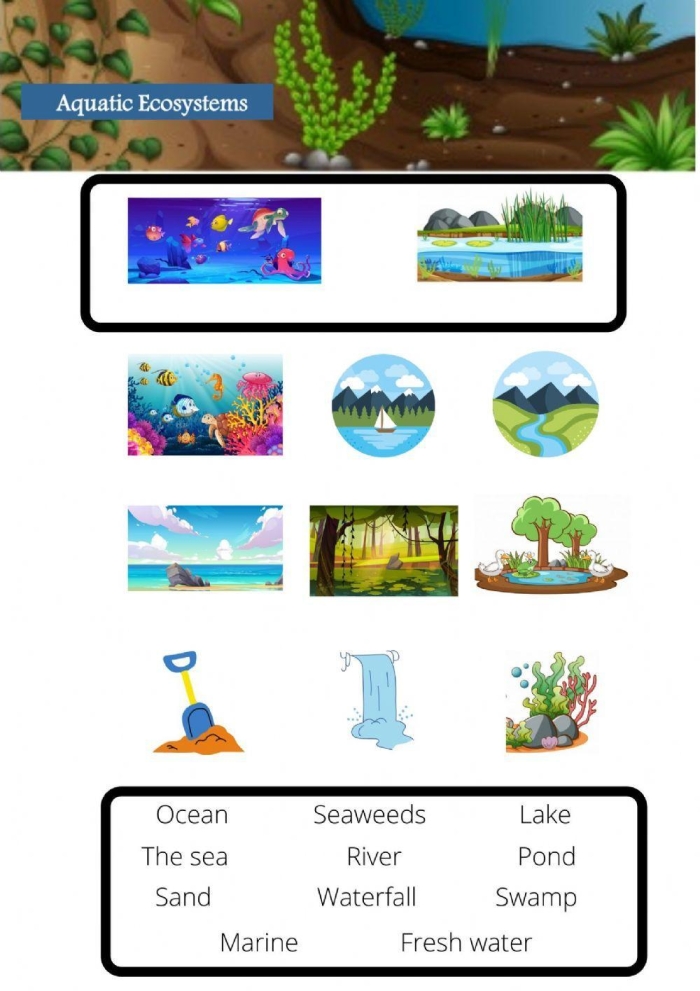 Algebra worksheet for Second Grade Coloring worksheet featuring a vibrant lake habitat with frogs, turtles, ducks, and dragonflies for kids. Freshwater Habitat coloring page designed for second graders to learn about ecosystem preservation.