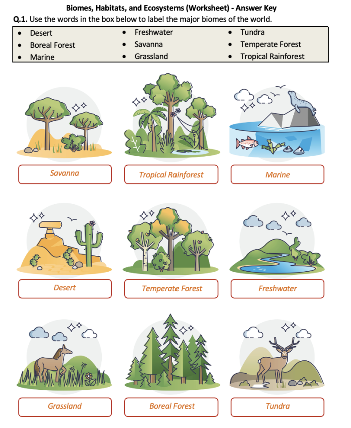 Freshwater Habitat Worksheet for Second Graders: Color and Explore Coloring page featuring a lake habitat with frogs, turtles, ducks, and dragonflies for kids to learn about freshwater ecosystems